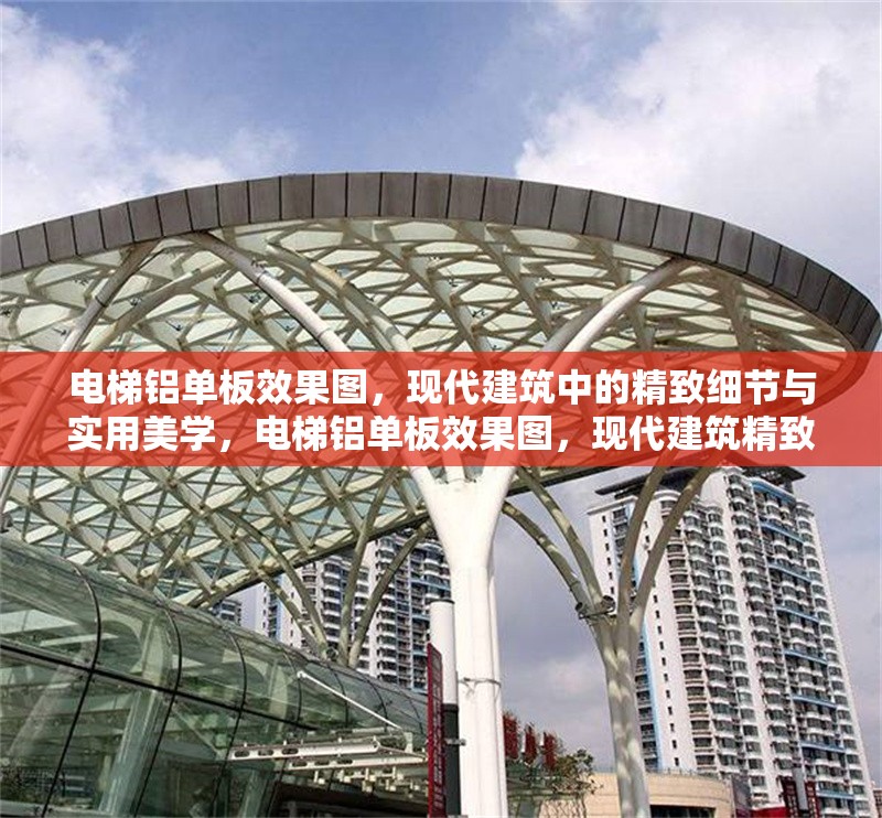 電梯鋁單板效果圖，現(xiàn)代建筑中的精致細節(jié)與實用美學(xué)，電梯鋁單板效果圖，現(xiàn)代建筑精致細節(jié)與實用美學(xué)的