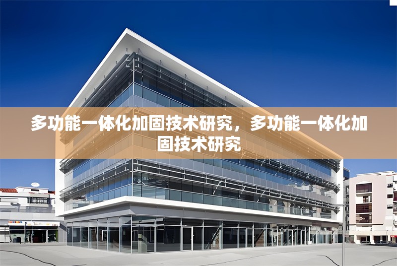 多功能一體化加固技術(shù)研究，多功能一體化加固技術(shù)研究 行業(yè)新聞 第1張