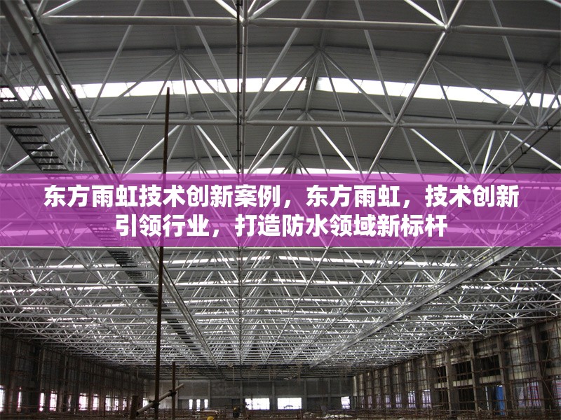 東方雨虹技術(shù)創(chuàng)新案例，東方雨虹，技術(shù)創(chuàng)新引領(lǐng)行業(yè)，打造防水領(lǐng)域新標(biāo)桿
