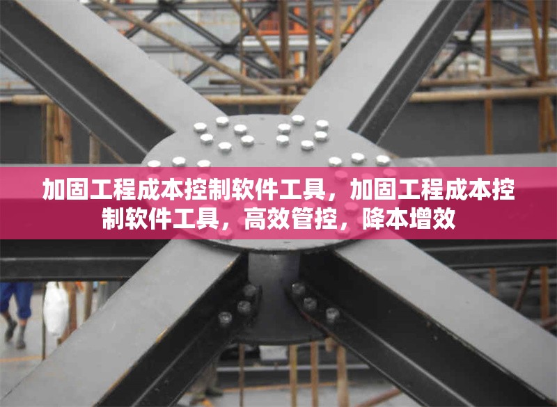 加固工程成本控制軟件工具，加固工程成本控制軟件工具，高效管控，降本增效 行業(yè)新聞 第1張