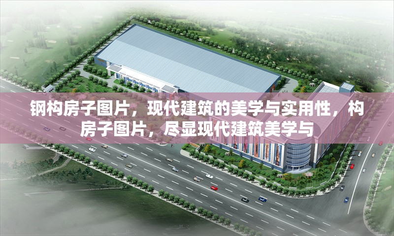 鋼構房子圖片，現(xiàn)代建筑的美學與實用性，構房子圖片，盡顯現(xiàn)代建筑美學與