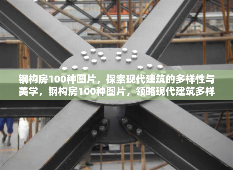 鋼構(gòu)房100種圖片，探索現(xiàn)代建筑的多樣性與美學(xué)，鋼構(gòu)房100種圖片，領(lǐng)略現(xiàn)代建筑多樣美學(xué)