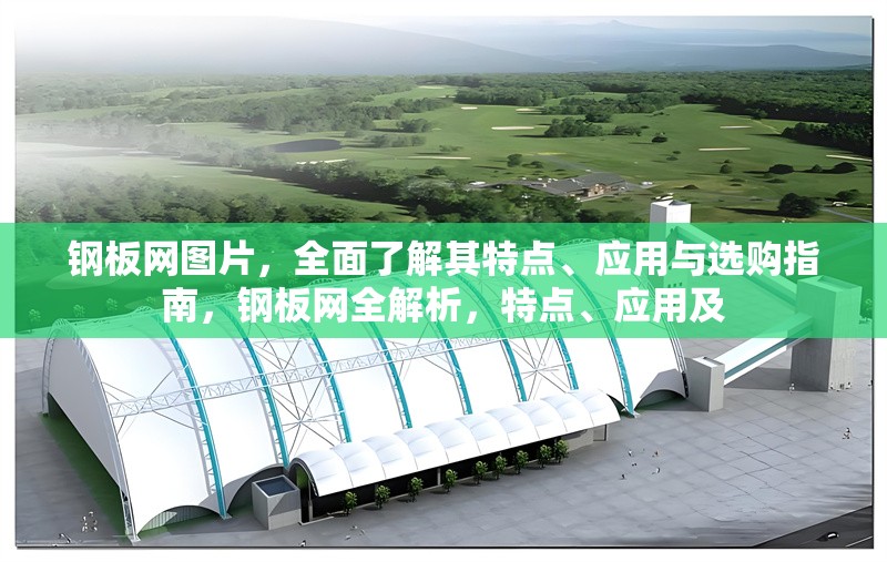 鋼板網(wǎng)圖片，全面了解其特點(diǎn)、應(yīng)用與選購(gòu)指南，鋼板網(wǎng)全解析，特點(diǎn)、應(yīng)用及