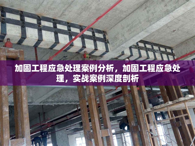 加固工程應(yīng)急處理案例分析，加固工程應(yīng)急處理，實(shí)戰(zhàn)案例深度剖析 行業(yè)新聞 第1張