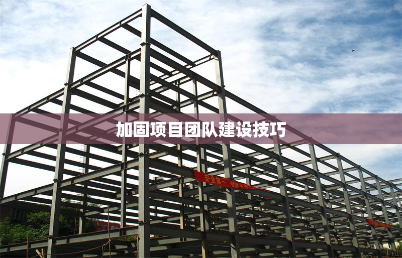 加固項(xiàng)目團(tuán)隊(duì)建設(shè)技巧