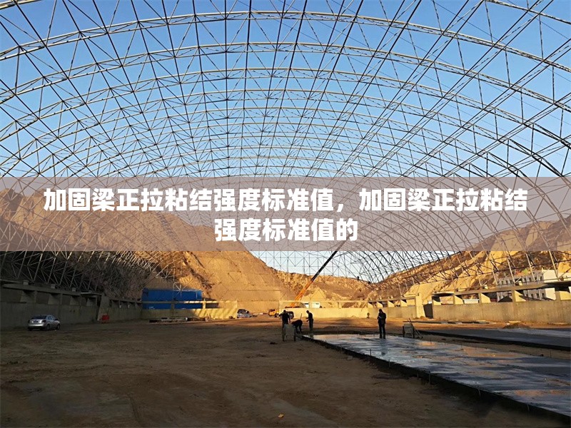 加固梁正拉粘結(jié)強(qiáng)度標(biāo)準(zhǔn)值，加固梁正拉粘結(jié)強(qiáng)度標(biāo)準(zhǔn)值的 行業(yè)新聞