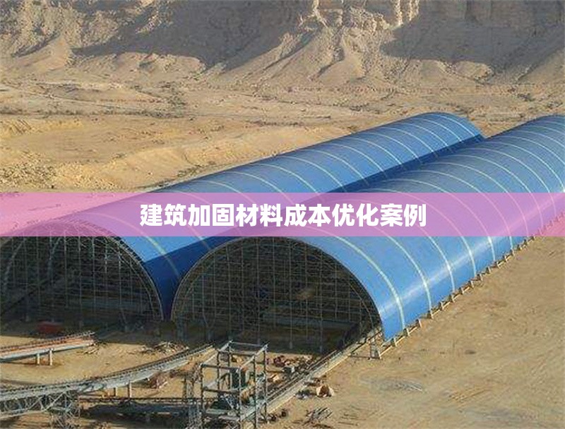 建筑加固材料成本優(yōu)化案例 行業(yè)新聞 第1張