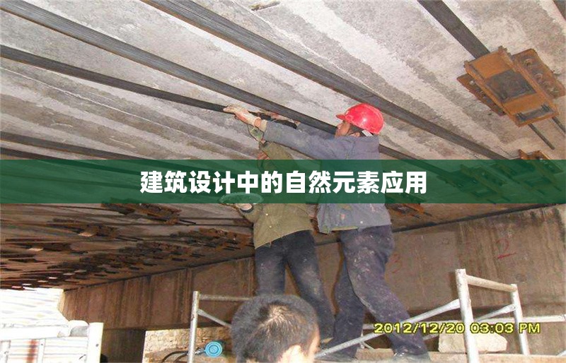 建筑設(shè)計(jì)中的自然元素應(yīng)用