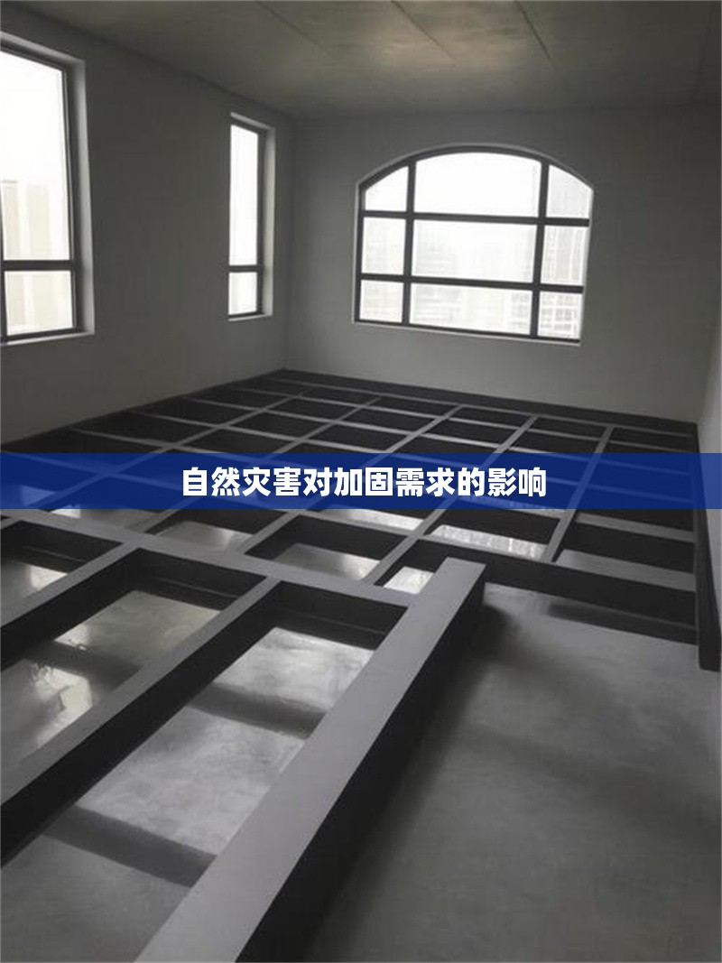 自然災(zāi)害對(duì)加固需求的影響