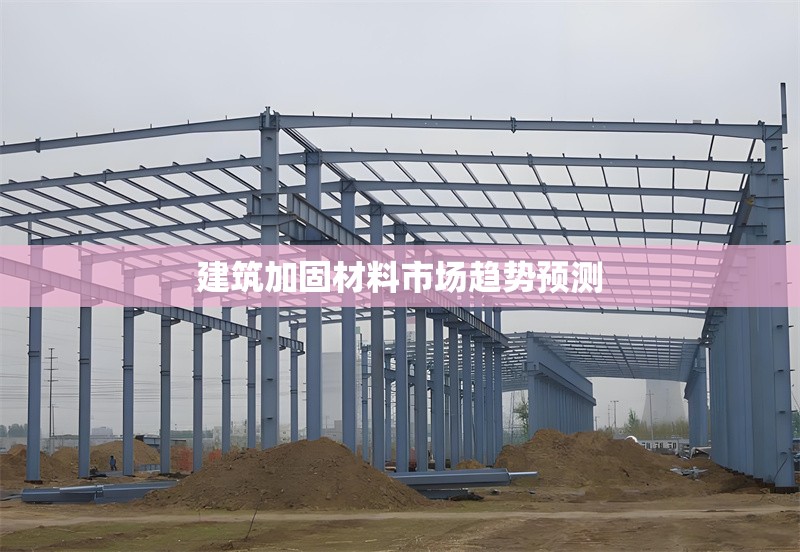 建筑加固材料市場(chǎng)趨勢(shì)預(yù)測(cè)