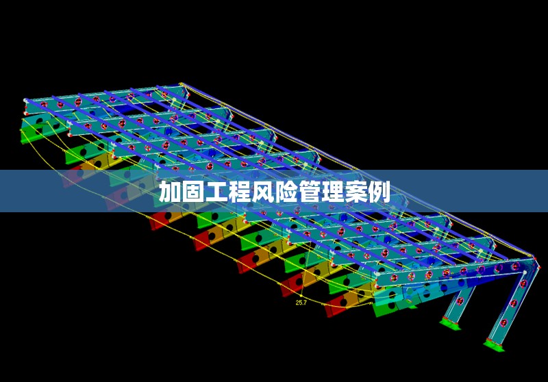 加固工程風(fēng)險管理案例