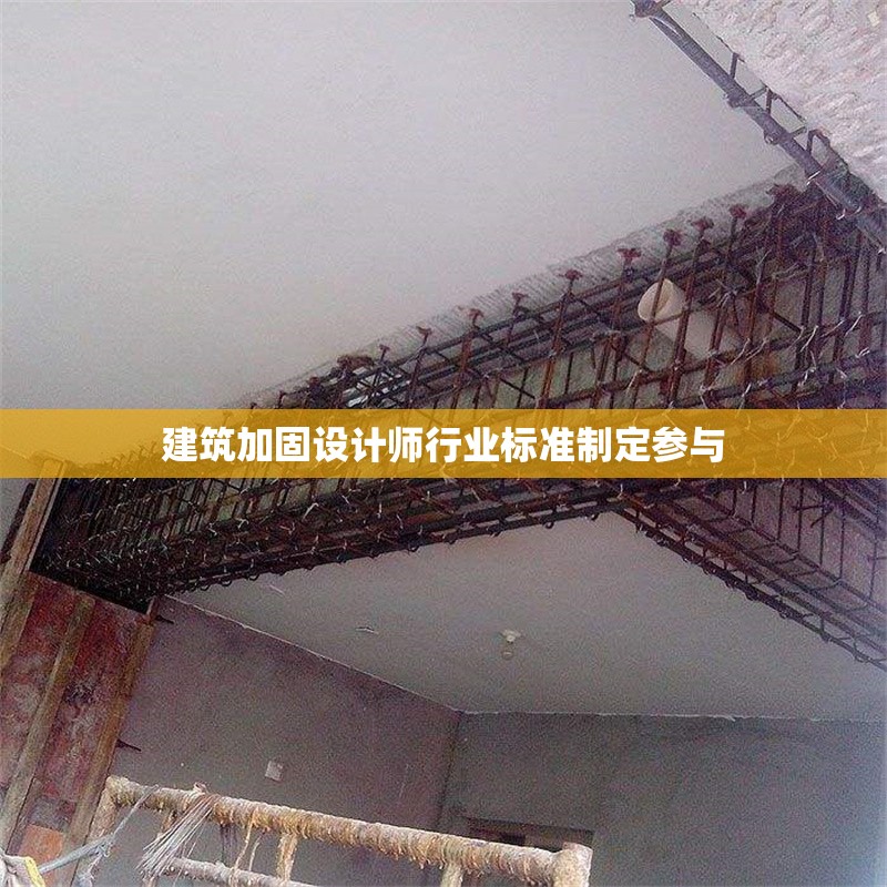 建筑加固設(shè)計(jì)師行業(yè)標(biāo)準(zhǔn)制定參與
