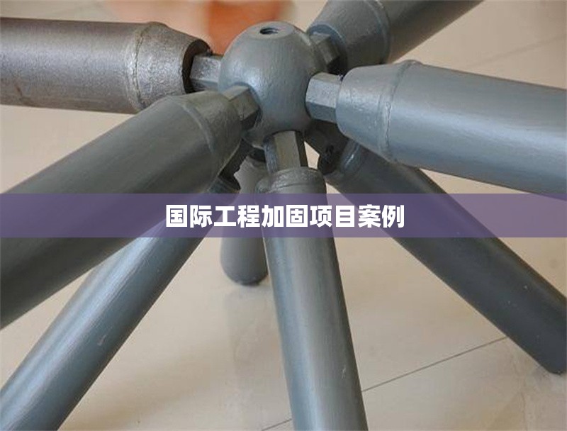 國(guó)際工程加固項(xiàng)目案例 行業(yè)新聞 第1張