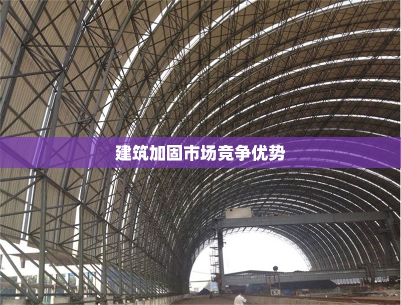 建筑加固市場競爭優(yōu)勢 行業(yè)新聞 第1張