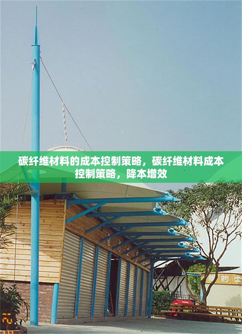 碳纖維材料的成本控制策略，碳纖維材料成本控制策略，降本增效 行業(yè)新聞 第6張