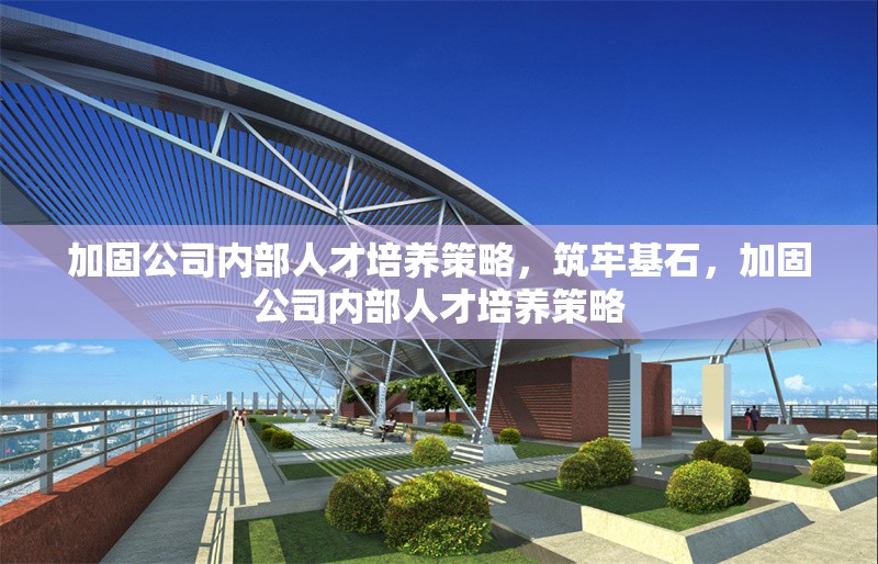 加固公司內(nèi)部人才培養(yǎng)策略，筑牢基石，加固公司內(nèi)部人才培養(yǎng)策略 行業(yè)新聞 第6張
