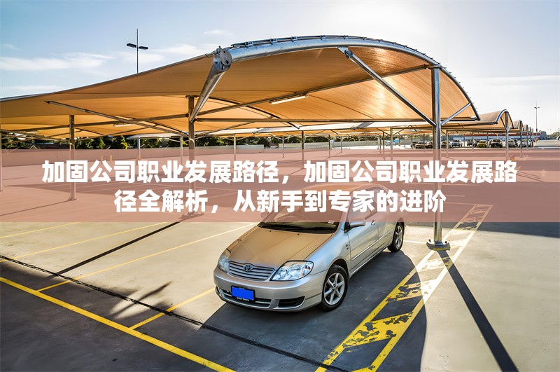 加固公司職業(yè)發(fā)展路徑，加固公司職業(yè)發(fā)展路徑全解析，從新手到專家的進階