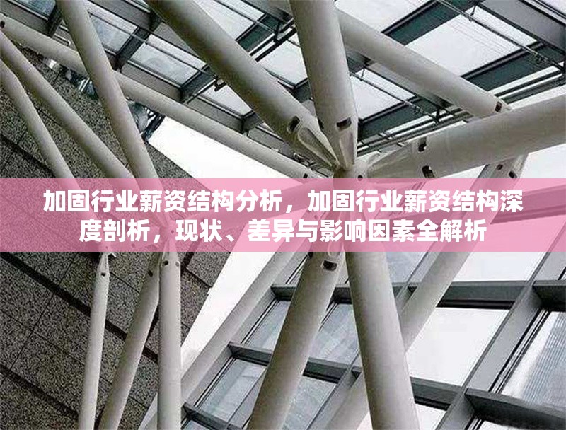 加固行業(yè)薪資結(jié)構(gòu)分析，加固行業(yè)薪資結(jié)構(gòu)深度剖析，現(xiàn)狀、差異與影響因素全解析 行業(yè)新聞 第4張