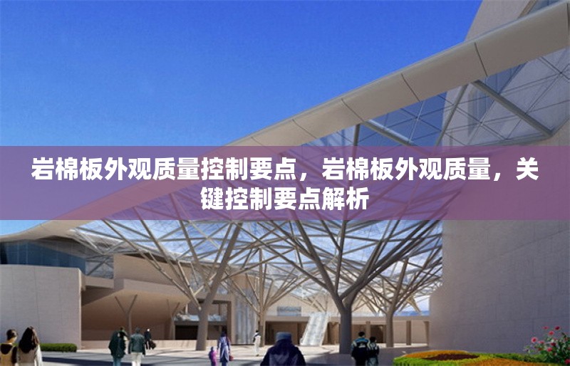巖棉板外觀質(zhì)量控制要點(diǎn)，巖棉板外觀質(zhì)量，關(guān)鍵控制要點(diǎn)解析 行業(yè)新聞 第6張