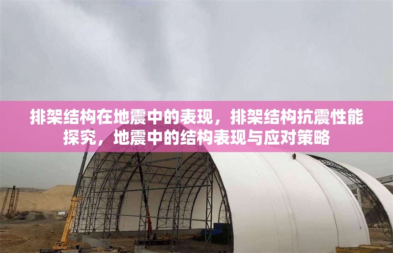 排架結(jié)構(gòu)在地震中的表現(xiàn)，排架結(jié)構(gòu)抗震性能探究，地震中的結(jié)構(gòu)表現(xiàn)與應(yīng)對策略 行業(yè)新聞 第6張