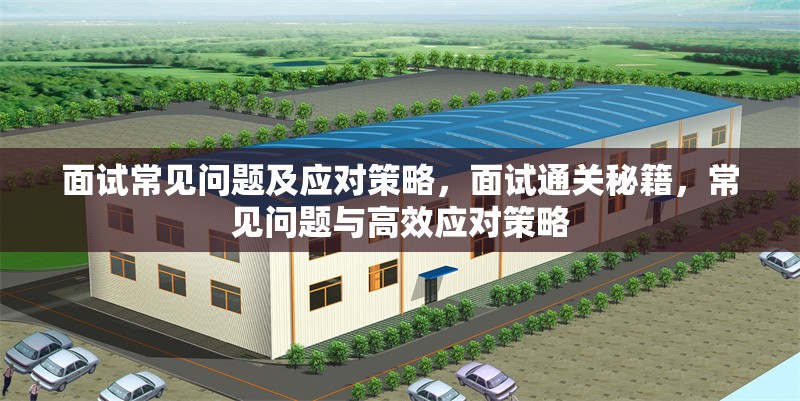 面試常見問題及應(yīng)對策略，面試通關(guān)秘籍，常見問題與高效應(yīng)對策略 行業(yè)新聞 第6張