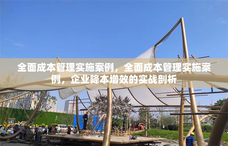 全面成本管理實施案例，全面成本管理實施案例，企業(yè)降本增效的實戰(zhàn)剖析，企業(yè)全面成本管理實戰(zhàn)案例，降本增效深度剖析