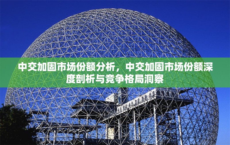 中交加固市場(chǎng)份額分析，中交加固市場(chǎng)份額深度剖析與競(jìng)爭(zhēng)格局洞察 行業(yè)新聞 第2張