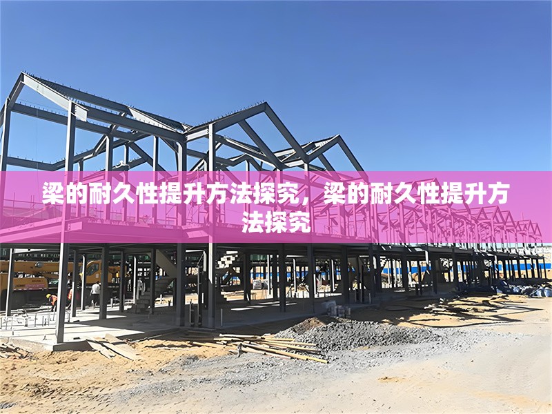 梁的耐久性提升方法探究，梁的耐久性提升方法探究