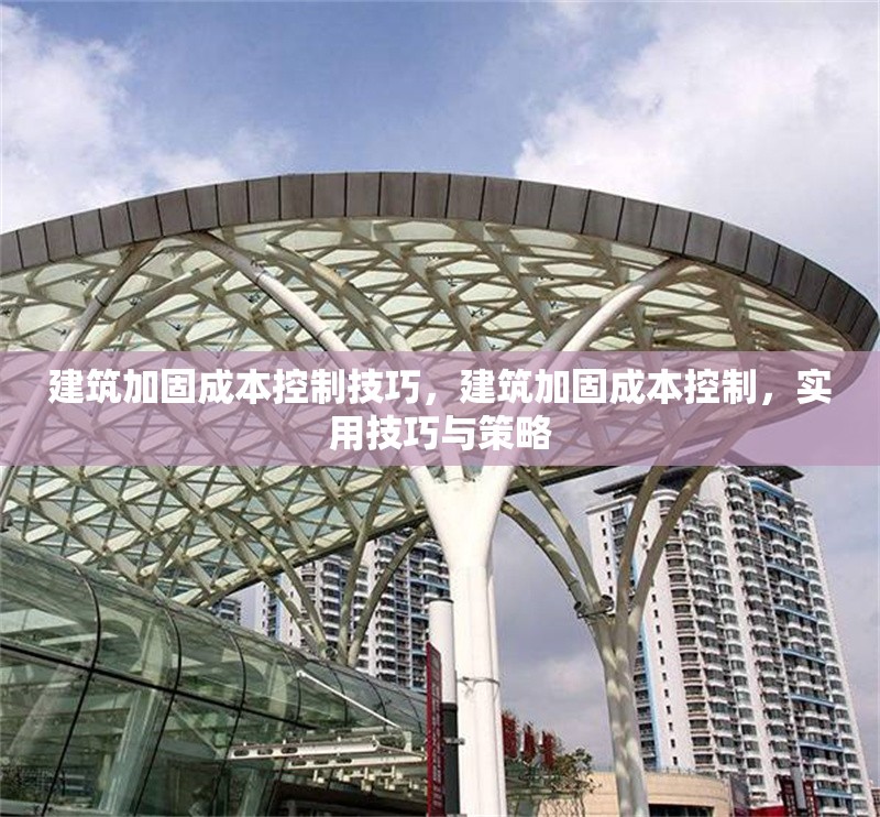 建筑加固成本控制技巧，建筑加固成本控制，實用技巧與策略