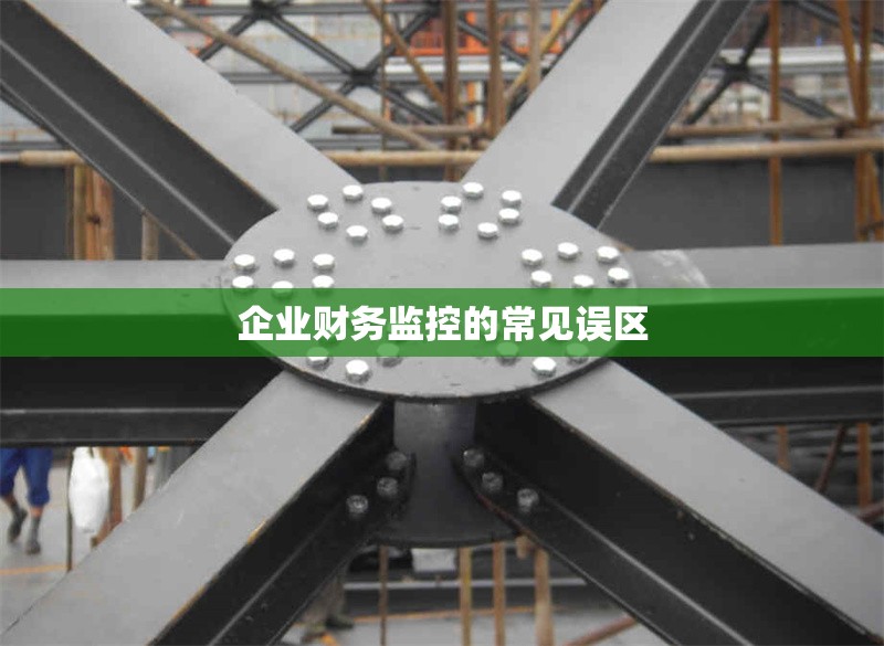 企業(yè)財務(wù)監(jiān)控的常見誤區(qū) 行業(yè)新聞 第1張