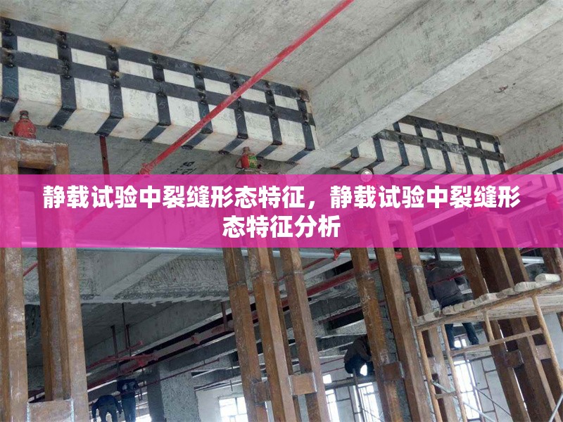 靜載試驗(yàn)中裂縫形態(tài)特征，靜載試驗(yàn)中裂縫形態(tài)特征分析