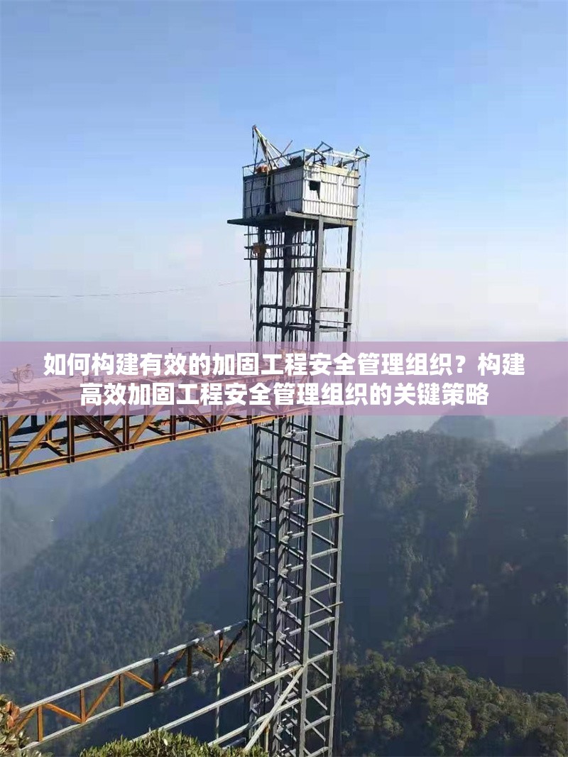 如何構(gòu)建有效的加固工程安全管理組織？構(gòu)建高效加固工程安全管理組織的關(guān)鍵策略