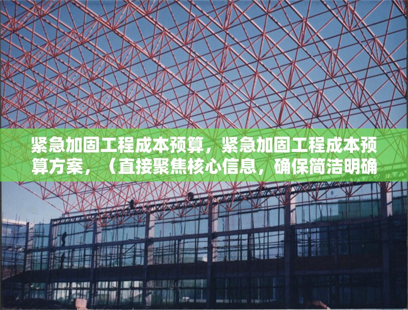緊急加固工程成本預(yù)算，緊急加固工程成本預(yù)算方案，（直接聚焦核心信息，確保簡(jiǎn)潔明確）