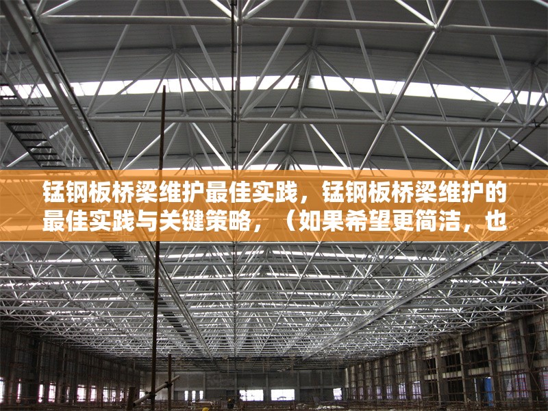 錳鋼板橋梁維護(hù)最佳實踐，錳鋼板橋梁維護(hù)的最佳實踐與關(guān)鍵策略，（如果希望更簡潔，也可以調(diào)整為，錳鋼板橋梁維護(hù)最佳實踐指南） 行業(yè)新聞 第1張