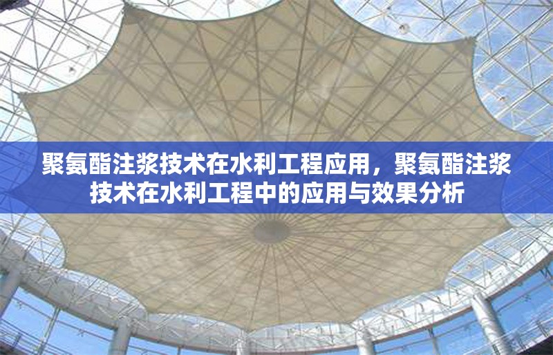聚氨酯注漿技術(shù)在水利工程應(yīng)用，聚氨酯注漿技術(shù)在水利工程中的應(yīng)用與效果分析
