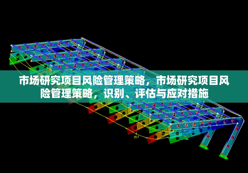 市場研究項目風(fēng)險管理策略，市場研究項目風(fēng)險管理策略，識別、評估與應(yīng)對措施