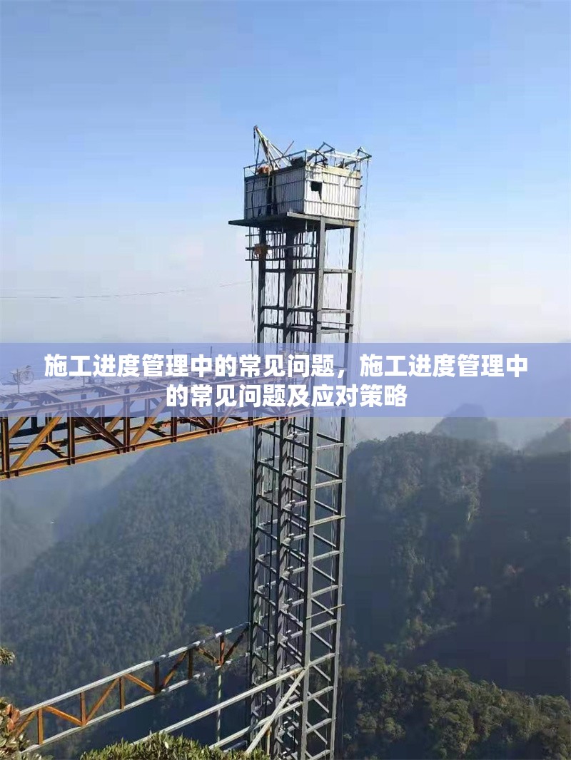 施工進度管理中的常見問題，施工進度管理中的常見問題及應(yīng)對策略