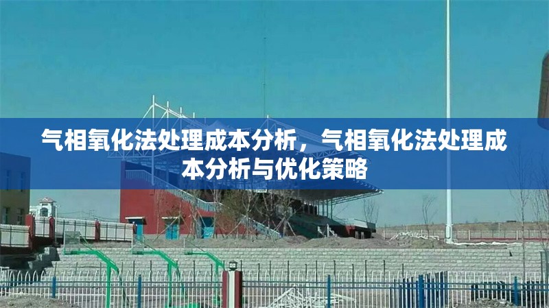 氣相氧化法處理成本分析，氣相氧化法處理成本分析與優(yōu)化策略，氣相氧化法處理成本分析與優(yōu)化策略