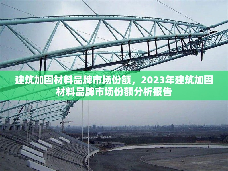 建筑加固材料品牌市場份額，2023年建筑加固材料品牌市場份額分析報告，2023年中國建筑加固材料品牌市場份額分析報告