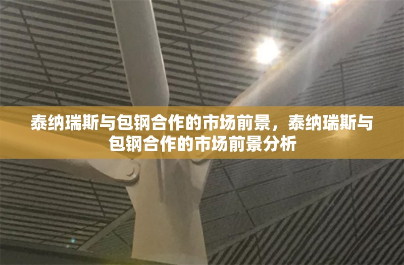 泰納瑞斯與包鋼合作的市場前景，泰納瑞斯與包鋼合作的市場前景分析，泰納瑞斯與包鋼合作的市場前景分析