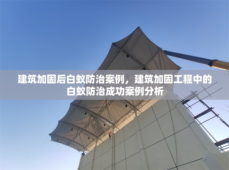 建筑加固后白蟻防治案例，建筑加固工程中的白蟻防治成功案例分析