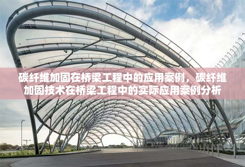 碳纖維加固在橋梁工程中的應(yīng)用案例，碳纖維加固技術(shù)在橋梁工程中的實(shí)際應(yīng)用案例分析