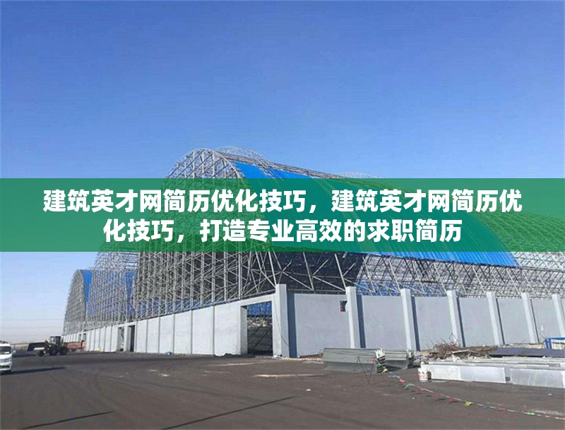 建筑英才網(wǎng)簡(jiǎn)歷優(yōu)化技巧，建筑英才網(wǎng)簡(jiǎn)歷優(yōu)化技巧，打造專業(yè)高效的求職簡(jiǎn)歷