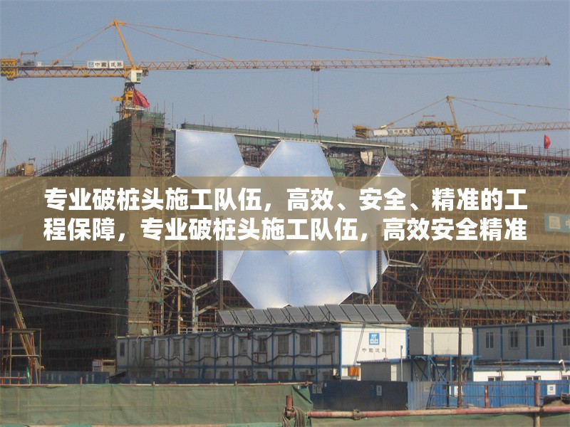 專業(yè)破樁頭施工隊伍，高效、安全、精準的工程保障，專業(yè)破樁頭施工隊伍，高效安全精準的工程保障專家