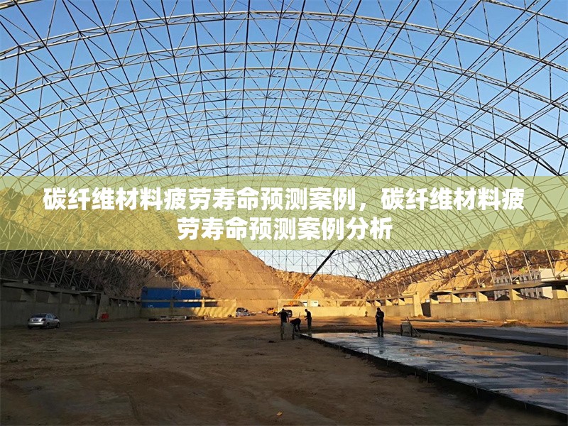 碳纖維材料疲勞壽命預(yù)測(cè)案例，碳纖維材料疲勞壽命預(yù)測(cè)案例分析