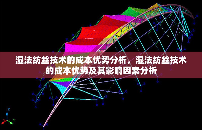 濕法紡絲技術(shù)的成本優(yōu)勢分析，濕法紡絲技術(shù)的成本優(yōu)勢及其影響因素分析