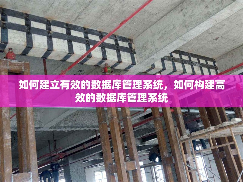 如何建立有效的數(shù)據(jù)庫(kù)管理系統(tǒng)，如何構(gòu)建高效的數(shù)據(jù)庫(kù)管理系統(tǒng) 行業(yè)新聞 第1張