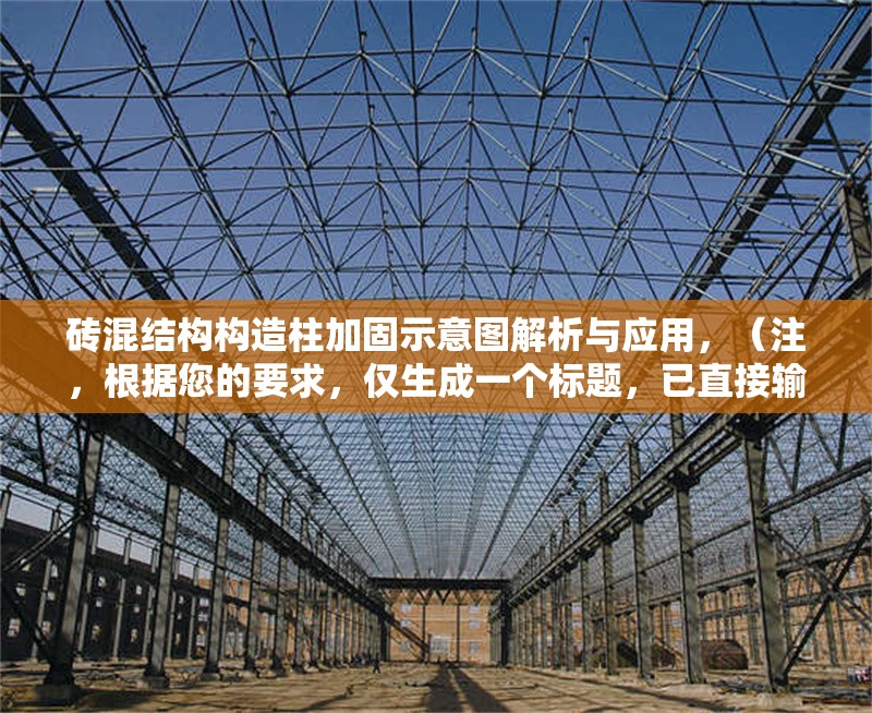 磚混結(jié)構(gòu)構(gòu)造柱加固示意圖解析與應(yīng)用，（注，根據(jù)您的要求，僅生成一個(gè)標(biāo)題，已直接輸出在最上方）