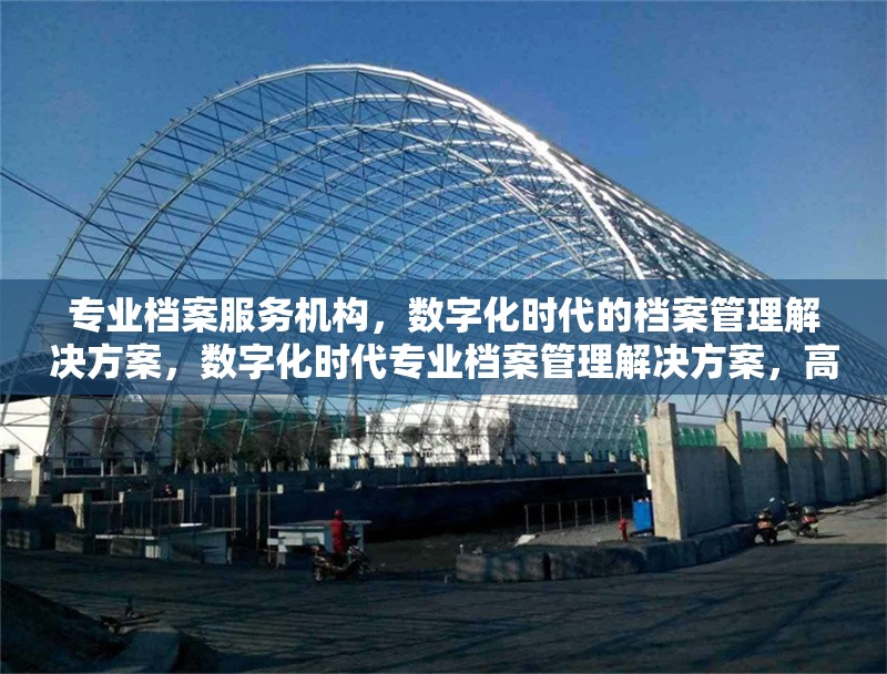 專業(yè)檔案服務(wù)機構(gòu)，數(shù)字化時代的檔案管理解決方案，數(shù)字化時代專業(yè)檔案管理解決方案，高效、安全、便捷