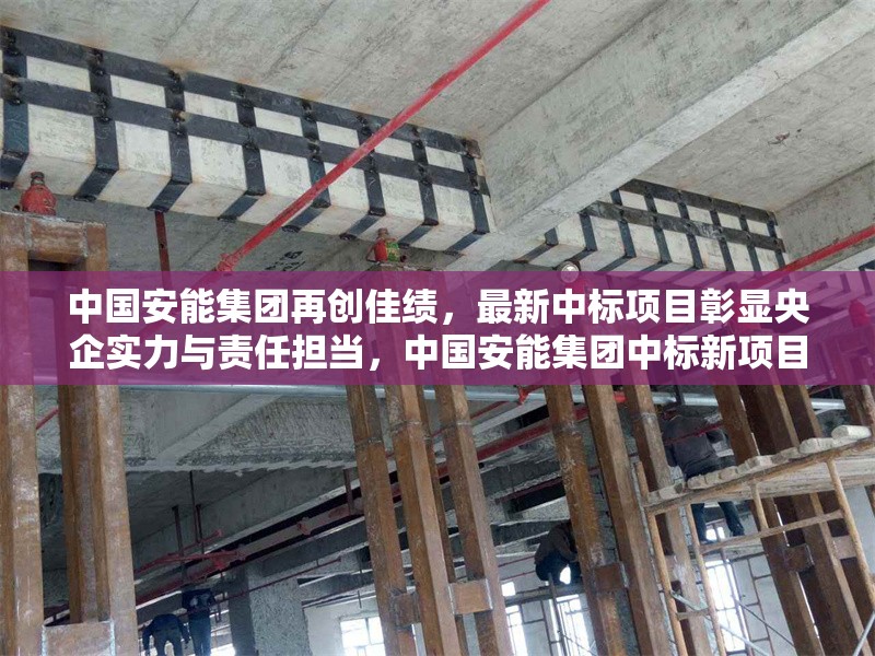中國安能集團再創(chuàng)佳績，最新中標項目彰顯央企實力與責任擔當，中國安能集團中標新項目，展現(xiàn)央企實力與擔當 行業(yè)新聞